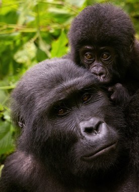 Uganda